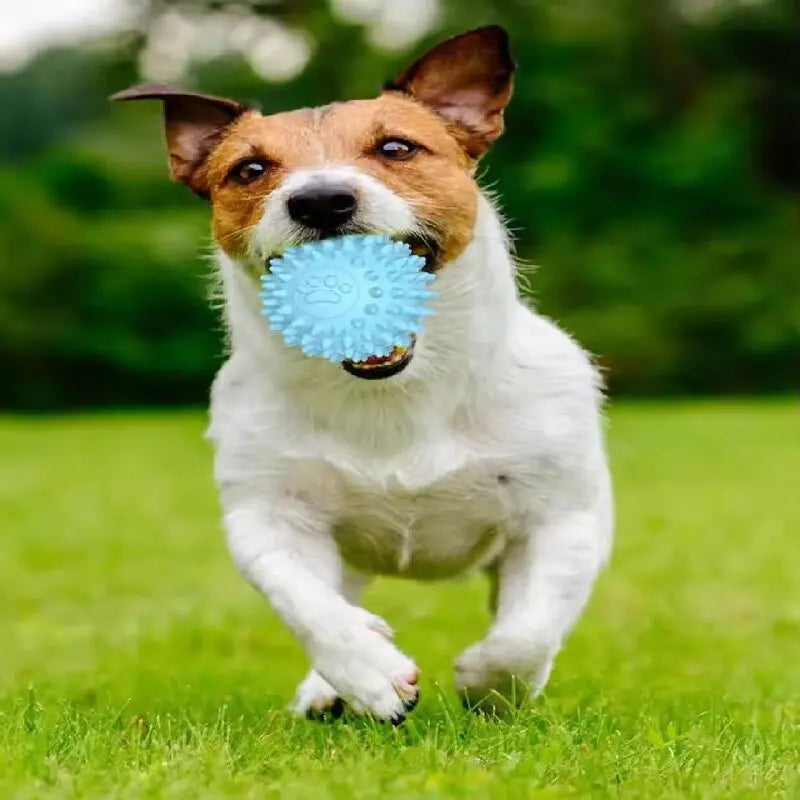 Dog Chewing Toy Interactive Rubber Ball for Small Large Dog Cat Pet Tooth Cleaning Indestructible Footprint Ball Pet Supplies